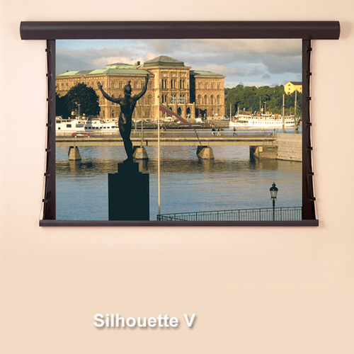 Screen Image