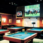 Clarion Fixed Projector Screen