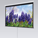 Luma Manual Projector Screen