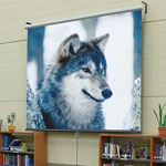 Luma Manual Projector Screen