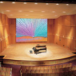 Paragon/Series E Projector Screen