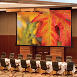 Paragon/Series V Projector Screen