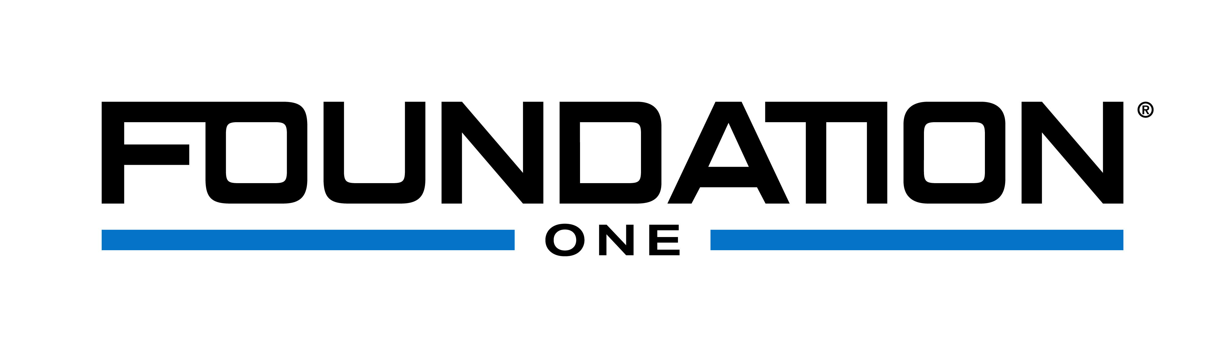 Foundation ONE