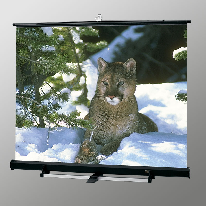 Luma 2/R Portable Projection Screen Draper, Inc.