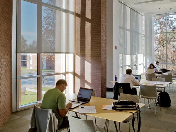 Motorized FlexShade window shades at Champaign Public Library, Champaign, IL.