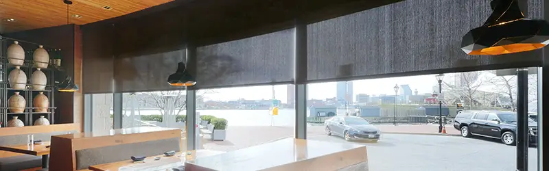 Draper Interior Window Shades